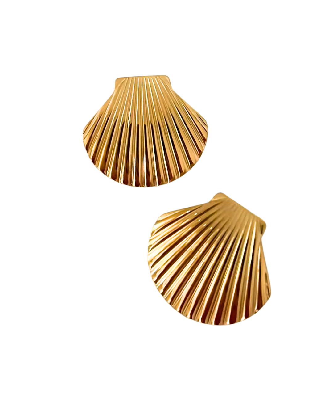 Aretes Shell