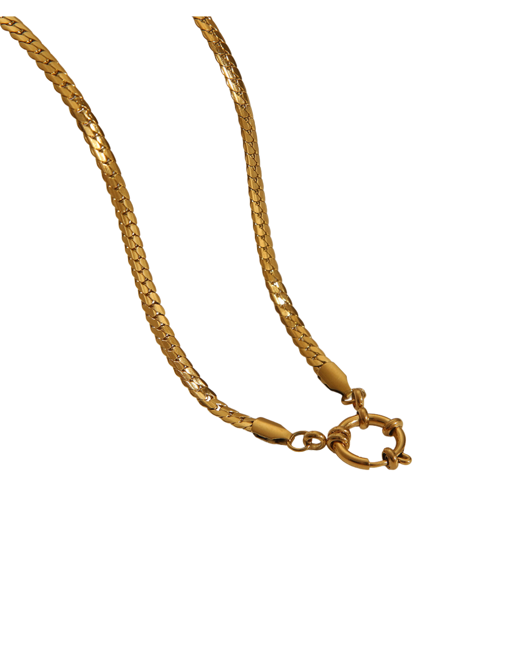 Cadena Panza víbora / Hebilla