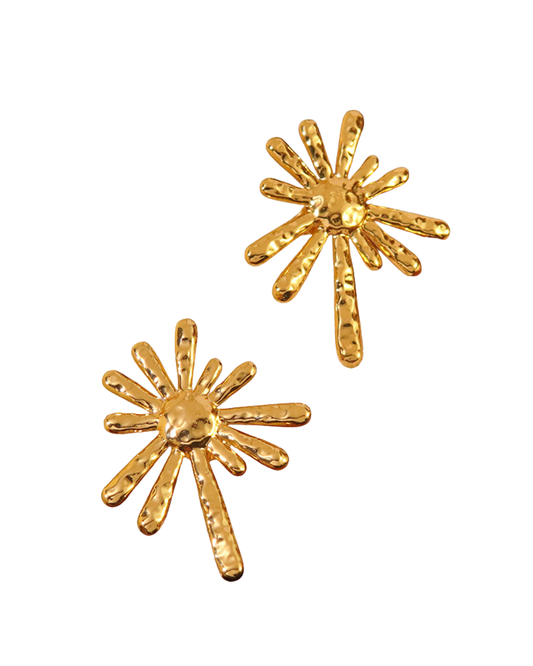 aretes soleia
