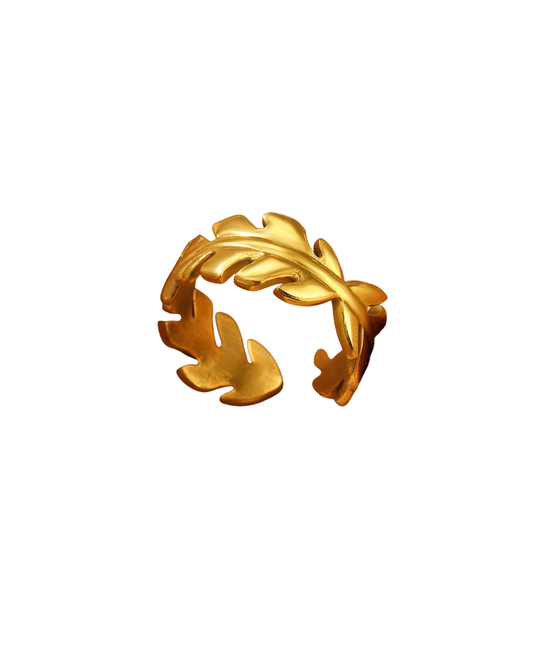 Anillo Vitta