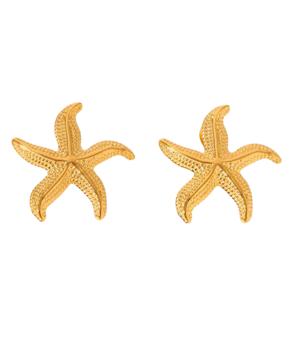 Aretes Estrella de mar