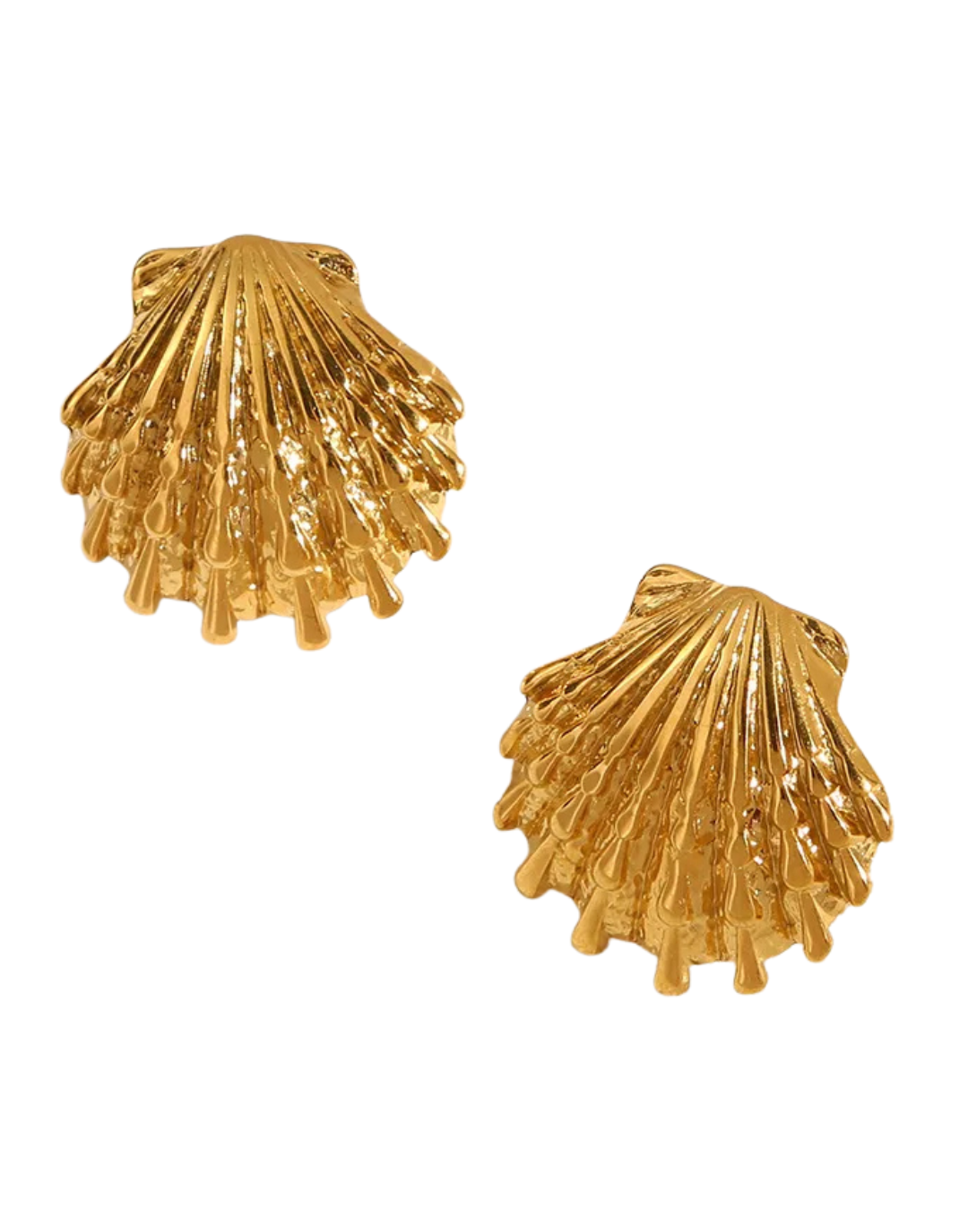 Aretes Martillado Concha