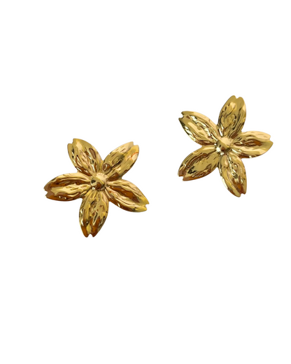 Aretes lumi