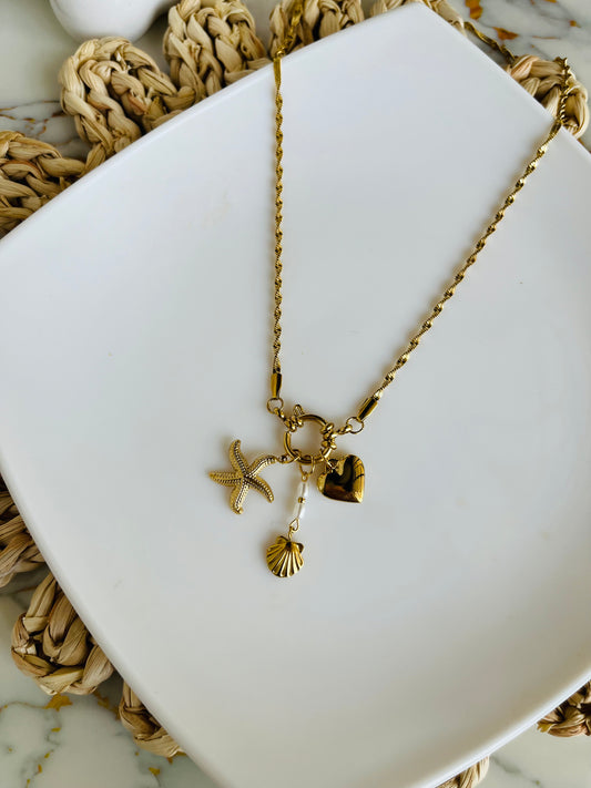 Collar Hebilla Charms