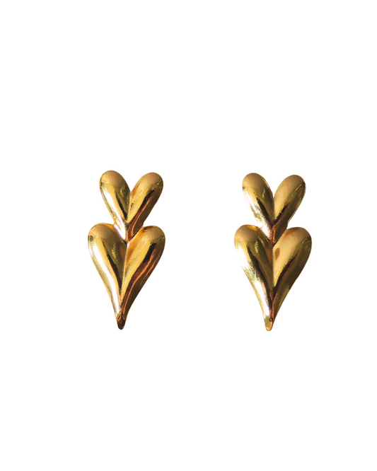 Aretes Venecia