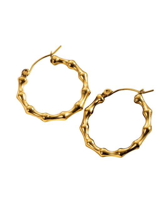 Aretes Bones