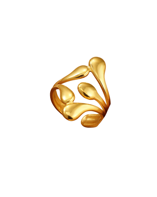 Anillo Lluvia