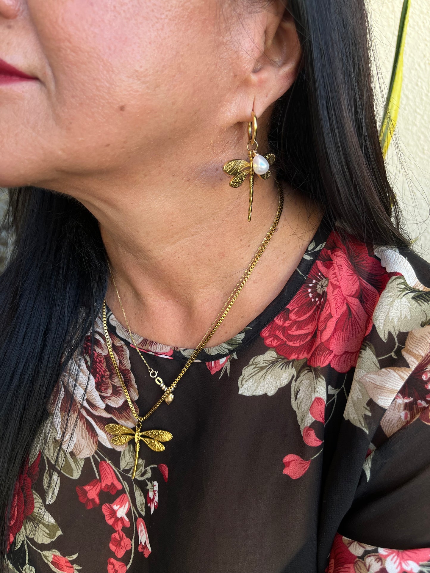 Conjunto libélula