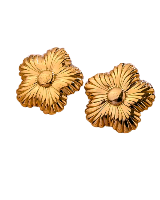 Aretes Fiorella
