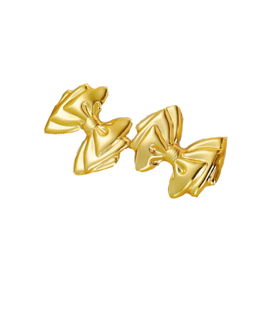 Aretes Mía